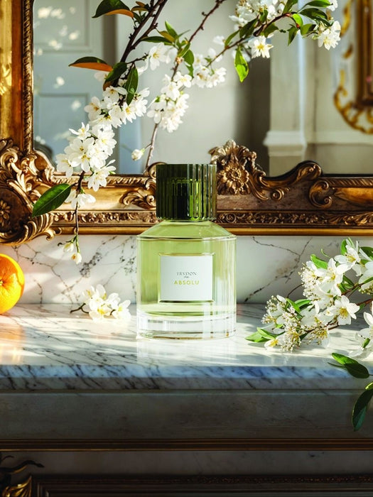 Absolu P/EP/100/ABS  TRUDON 