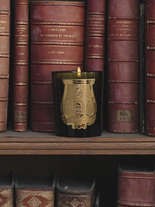The Classic Candle Spiritus Sancti 270gr SPI/08/TRU  TRUDON 
