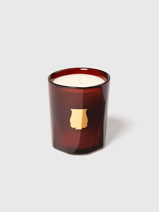 The Small Candle Cire 70gr TRU/070/CIR  TRUDON 