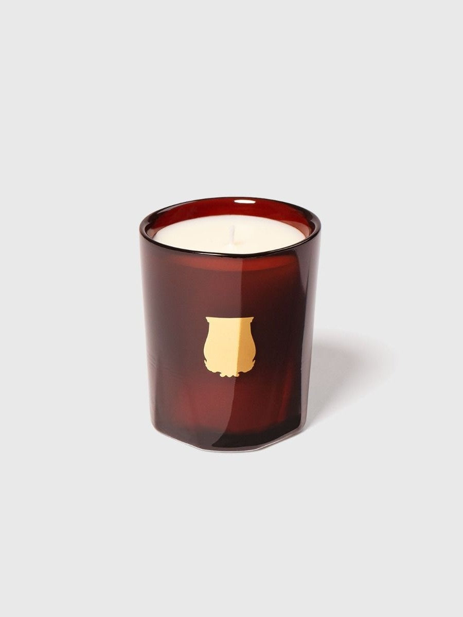 The Small Candle Cire 70gr TRU/070/CIR  TRUDON 