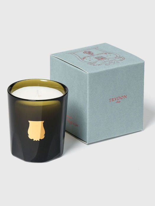 The Small Candle Ernesto 70gr TRU/070/ERN  TRUDON 