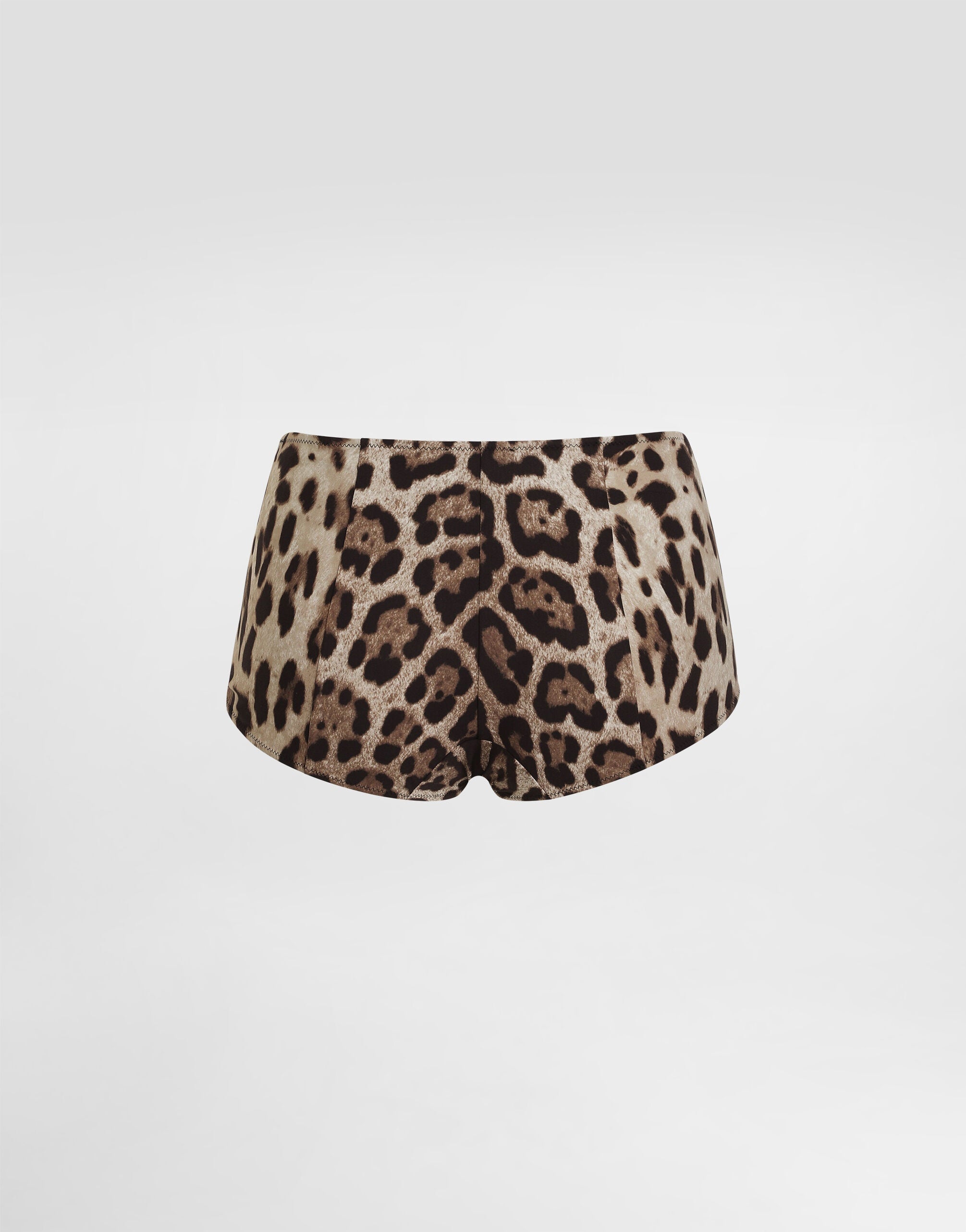 Leopard-print high-waisted bikini bottoms O2A03J ONO11HY13M DOLCE & GABBANA 