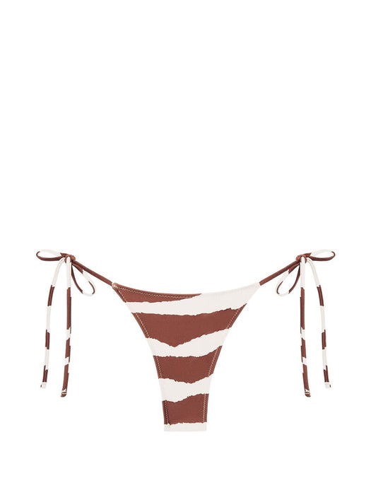 Praia bottom in savanna CS81 SAVANNA TROPIC OF C 
