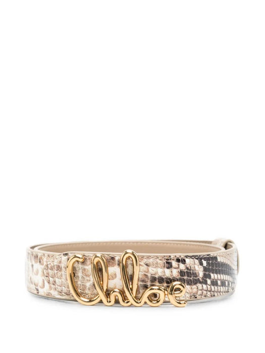 Phyton print with logo CH26ABB11CBB 1 95F CHLOÉ 